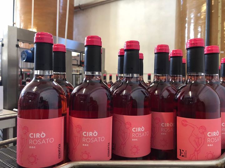 Le vin en rose! #nuoveannate #CiròDoc #CantinaEnotria